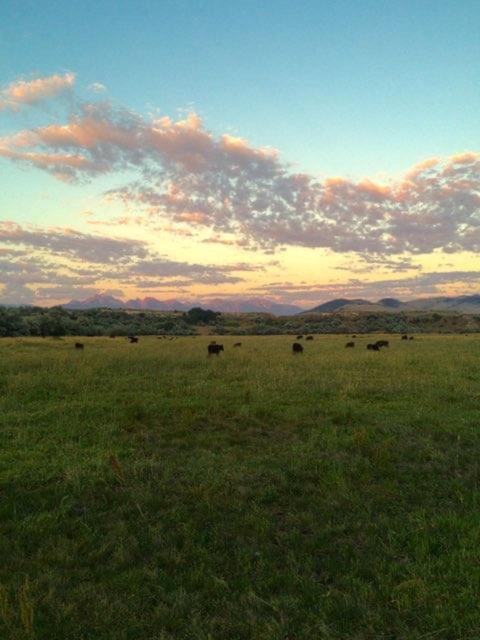 Photo: Mackenzie Foust