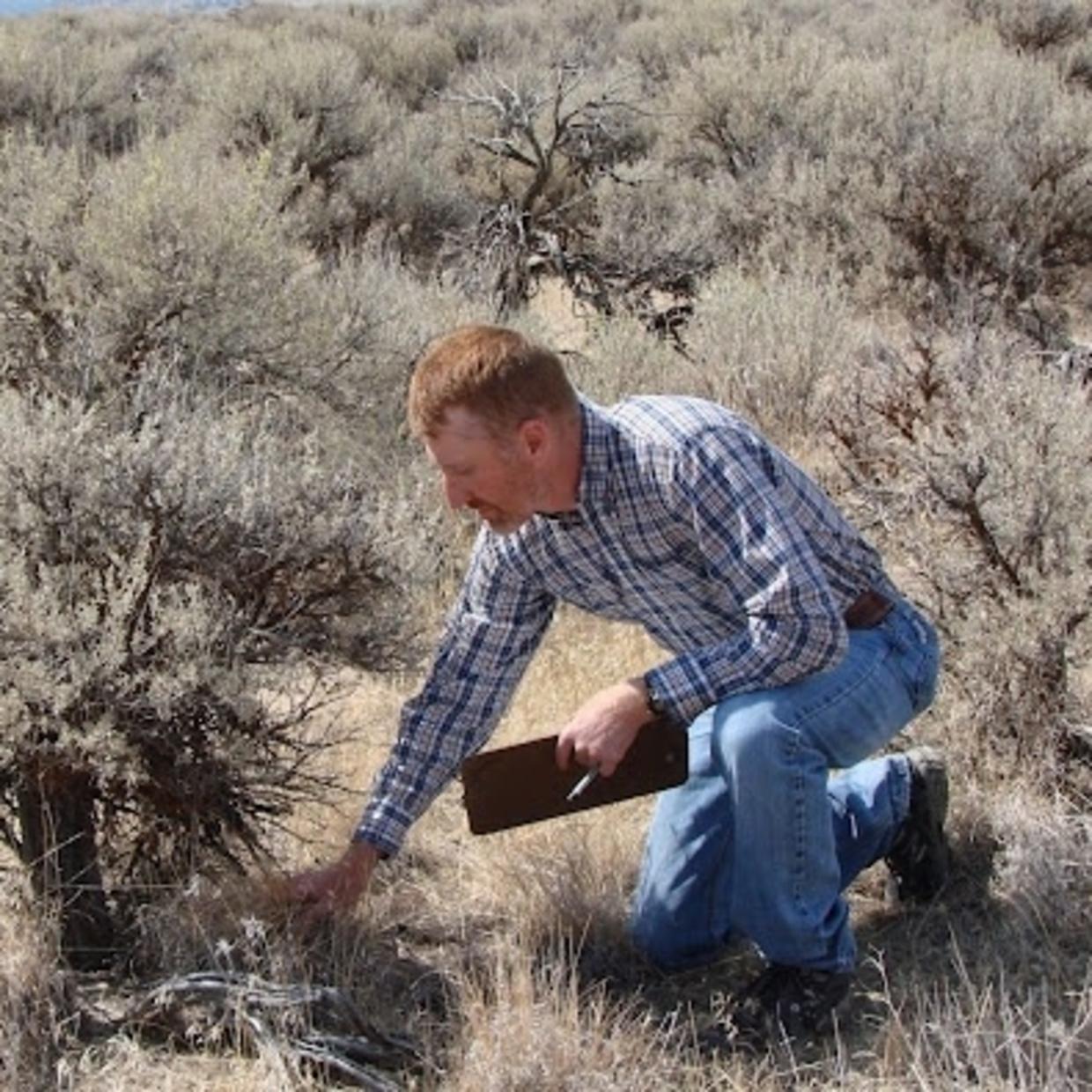 Dr. Kirk Davies in Rangeland Environment
