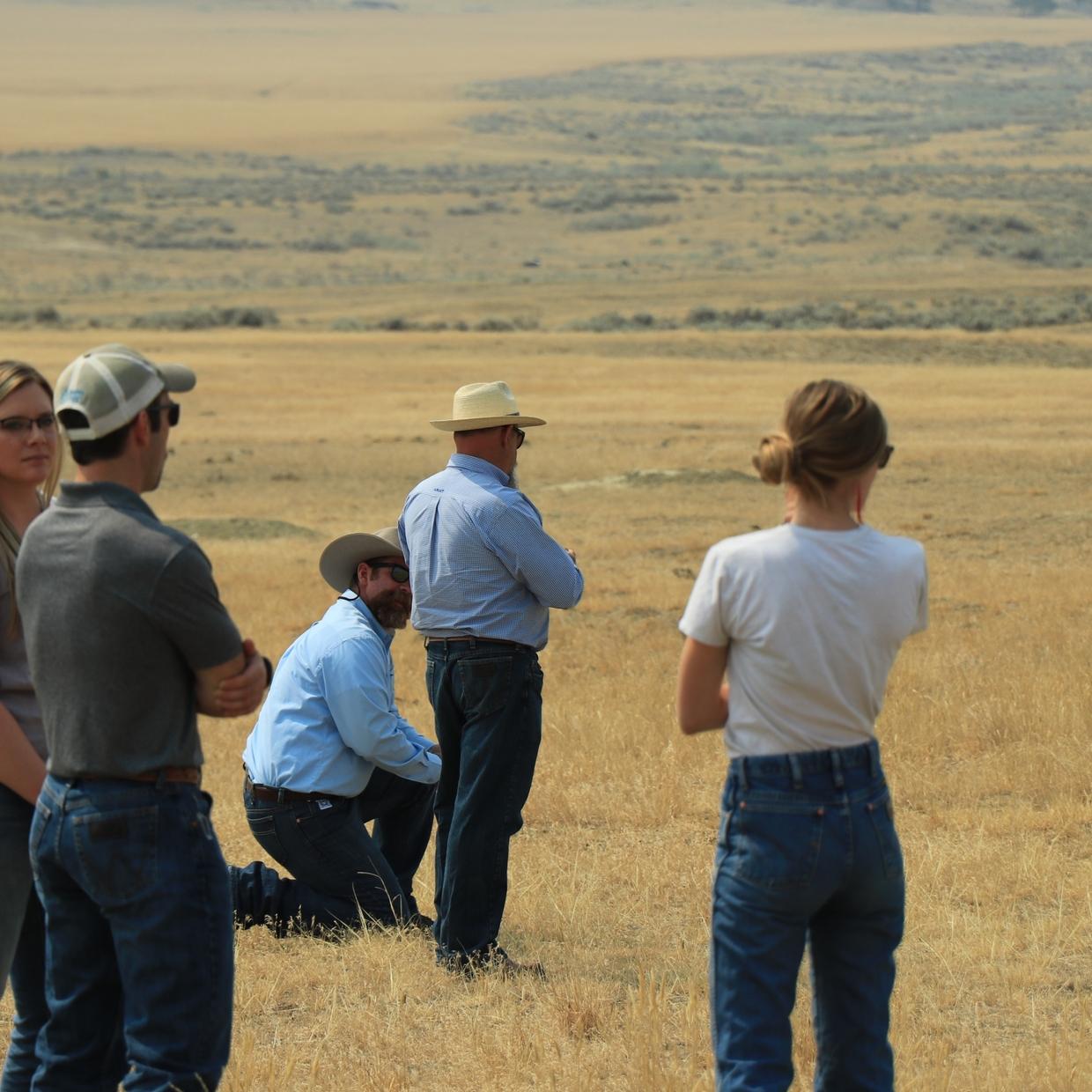 SRM has long been the primary architect of interagency collaboration, bridging the gap between federal departments, rangeland researchers, and the ran