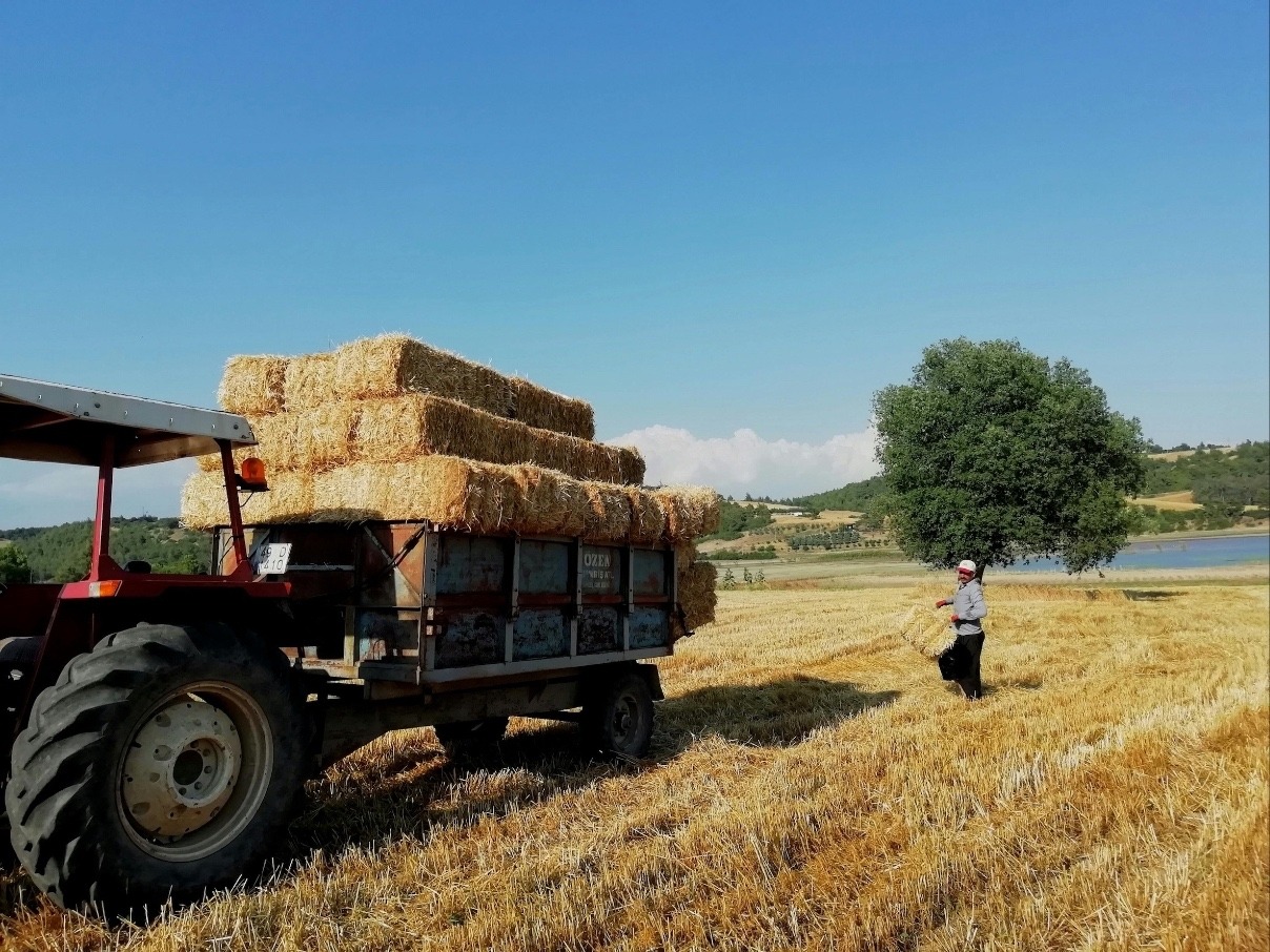 tractor hauling hay