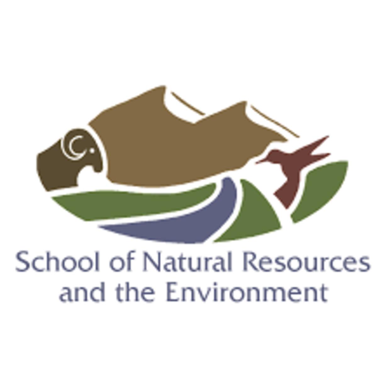 University of Arizona