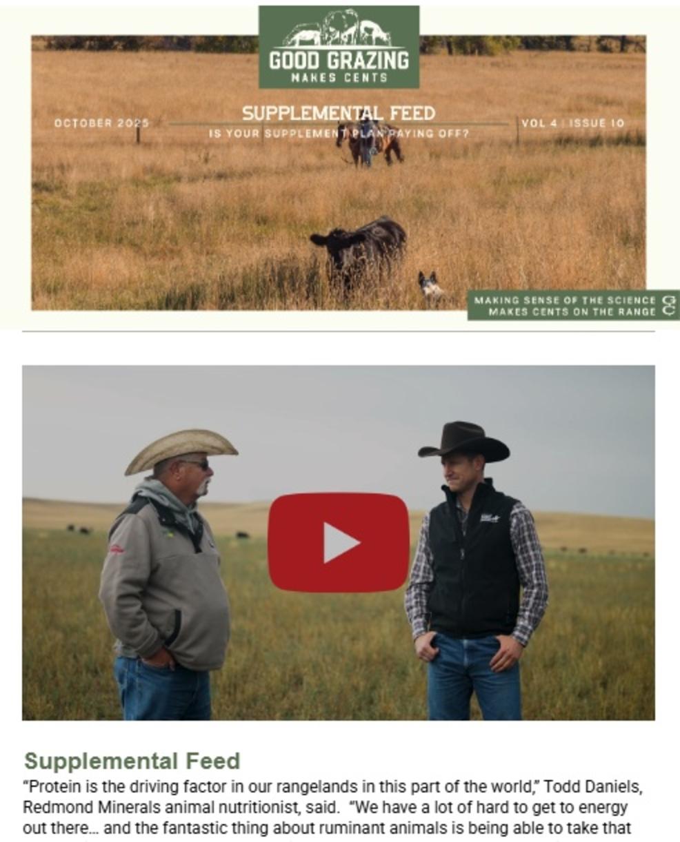 Rangeland News &ndash; 2019 Summer Edition