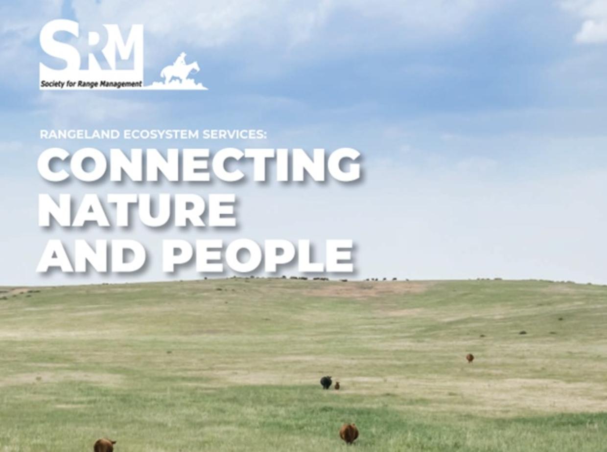 ecosystem services report