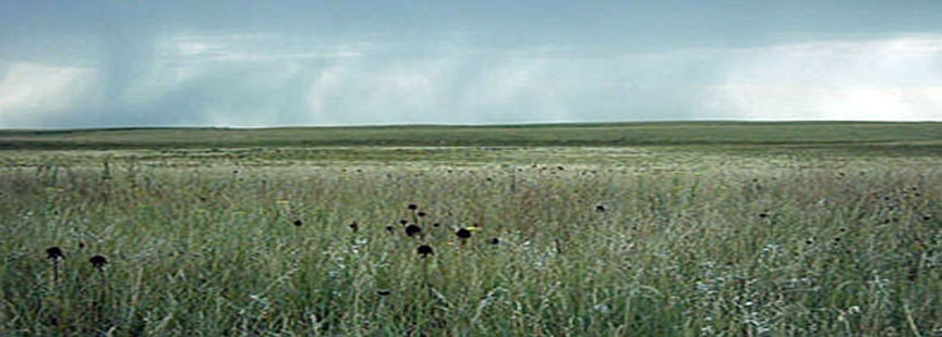 Northern Great Plains